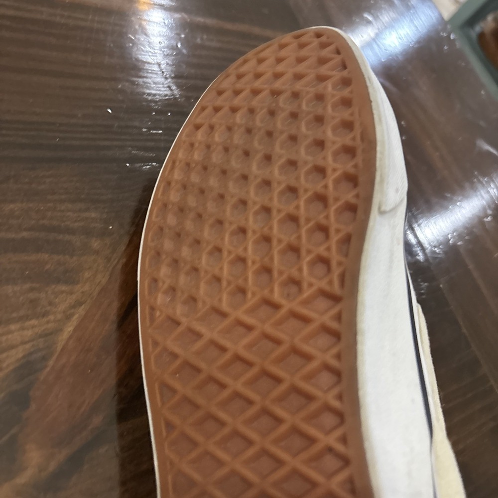 Vans Slip On Desert Vibes Cactus Roadrunner Shoes Men 8 Women 9.5 - Picture 8 of 13